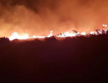 Δύσκολη νύχτα για την Εύβοια - Συνεχίζει να μαίνεται το πύρινο μέτωπο (φώτο-βίντεο) (upd2)